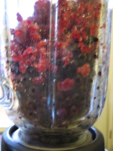 green smoothie may 2010 008