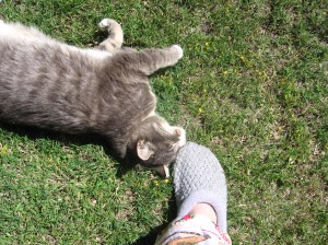 pajama day in progress may 2010 020