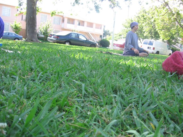 viewfrommymat 002 Side view - post Savasana