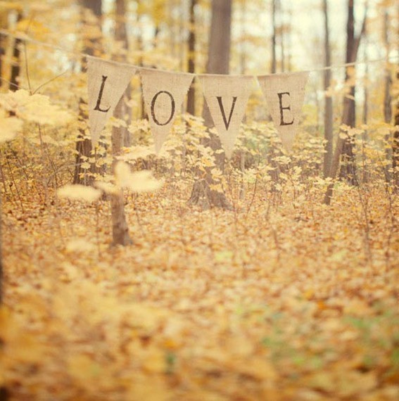 love bunting - click to find out more about the photo and details for purchase (it's on my wish list!)