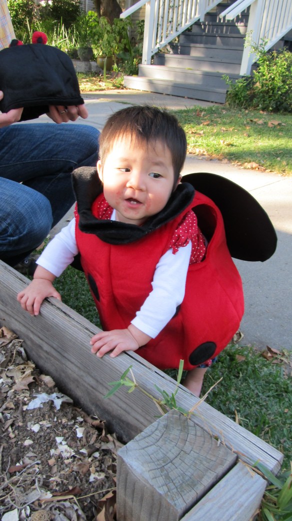 october 2011 ruby 1st halloween