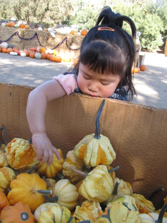 happy halloween photo credit - me