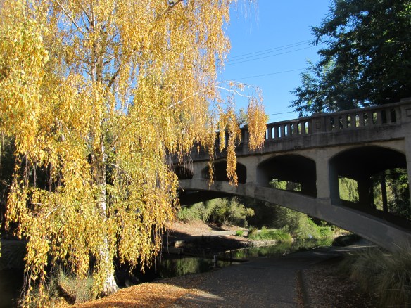 uc davis arboretum photo: me