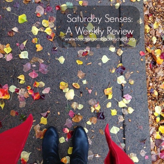 saturday senses red raincoat