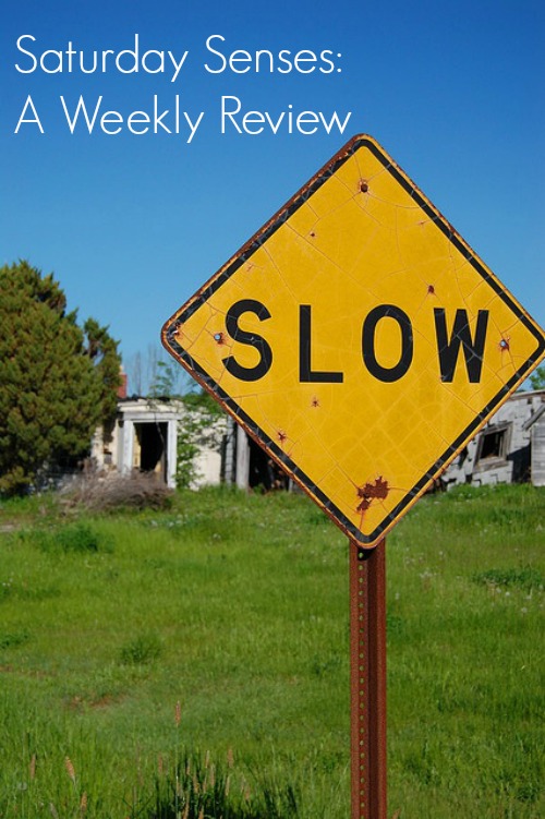 slow down weekly reflection