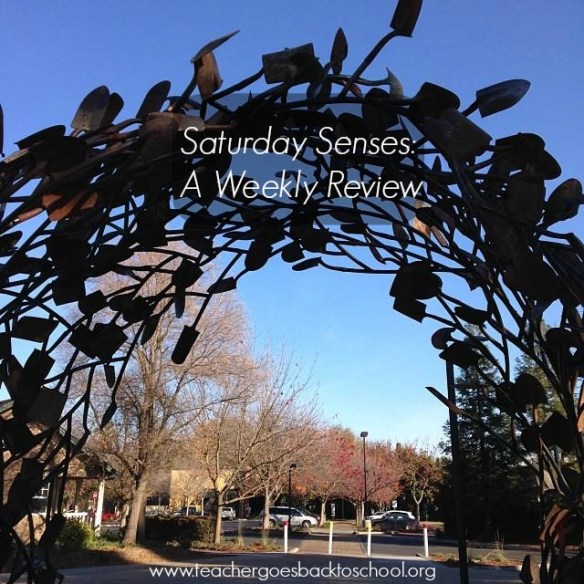 shovel sculpture saturday senses mid december